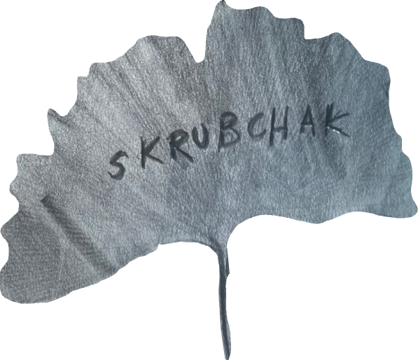 SKRUBCHAK